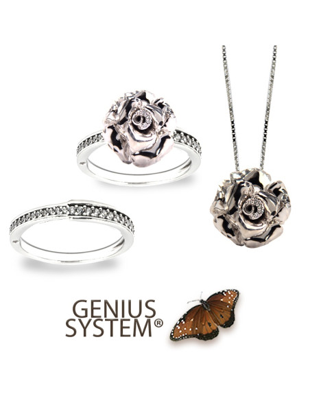 dgs023-a.jpg